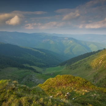 Munții Maramureșului